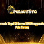 Bermain Togel Di Server IDN Menggunakan Pola Tarung