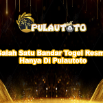 Salah Satu Bandar Togel Resmi Hanya Di Pulautoto