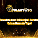 Pulautoto Saat Ini Menjadi Sorotan Dalam Bermain Togel